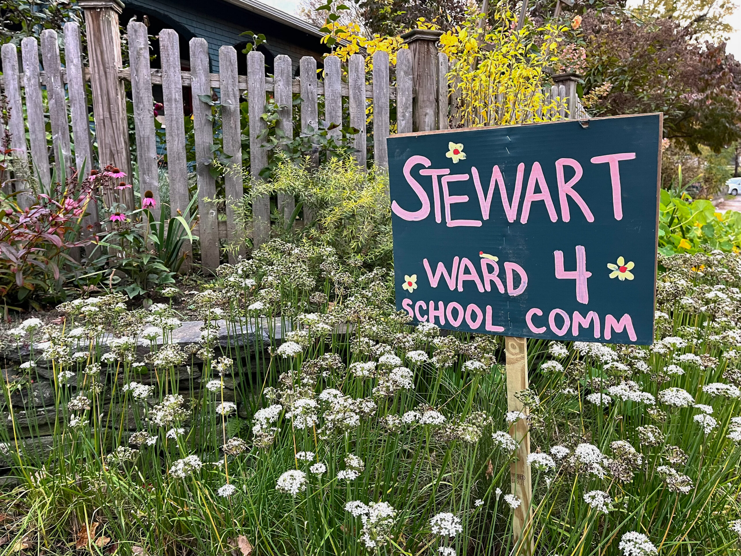 Photo of garden with candidate lawn sign that says Stewart Ward 4 School Committee